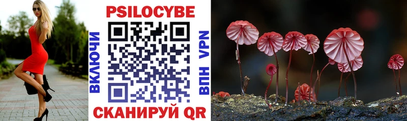 omg как войти  Кораблино  площадка официальный сайт  Псилоцибиновые грибы прущие грибы 